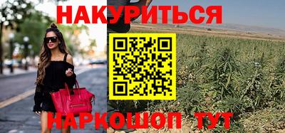 PSILOCYBIN Пугачёв