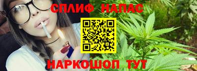PSILOCYBIN Пугачёв