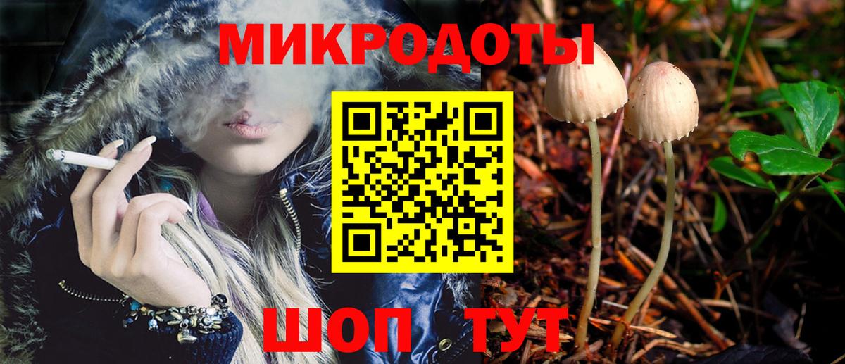 Псилоцибиновые грибы мицелий Семёнов